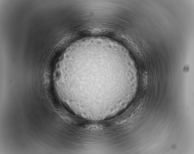 X0000103490691200810031606