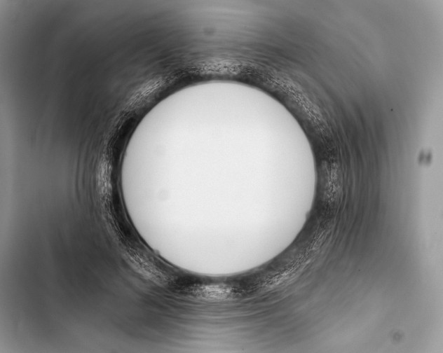 X0000103490692200810031606