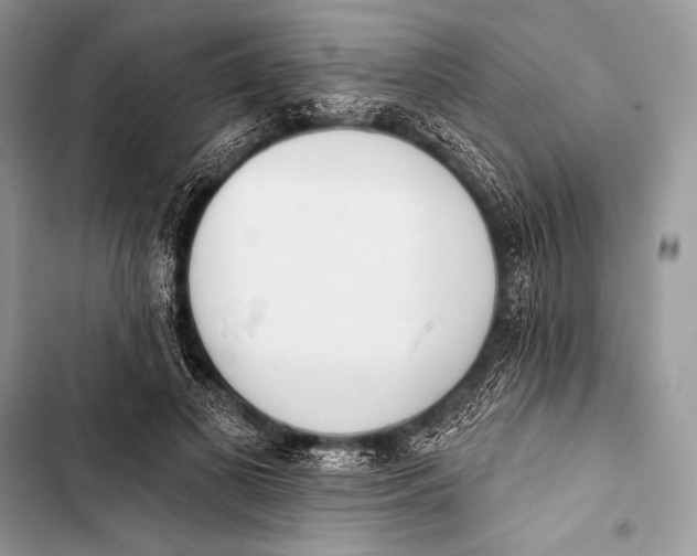 X0000103490693200810031606