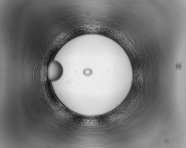 X0000103490694200810031606