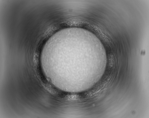 X0000103490695200810031606