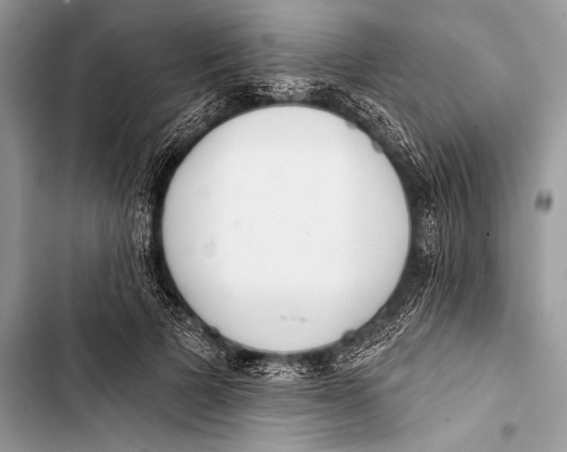 X0000103490697200810031606