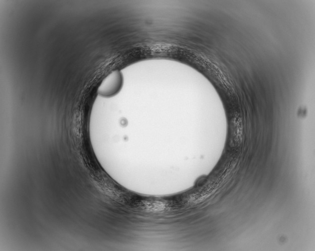 X0000103490698200810031606