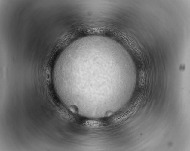 X0000103490699200810031606