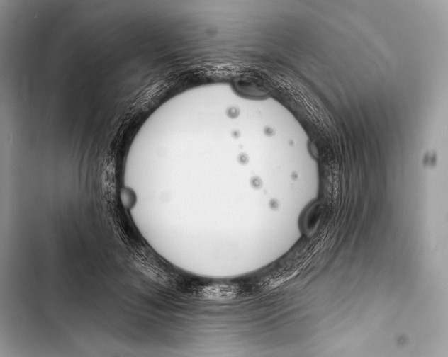 X0000103490700200810031606