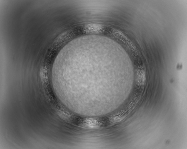 X0000103490701200810031606