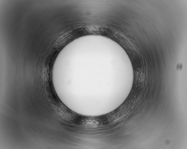 X0000103490702200810031606