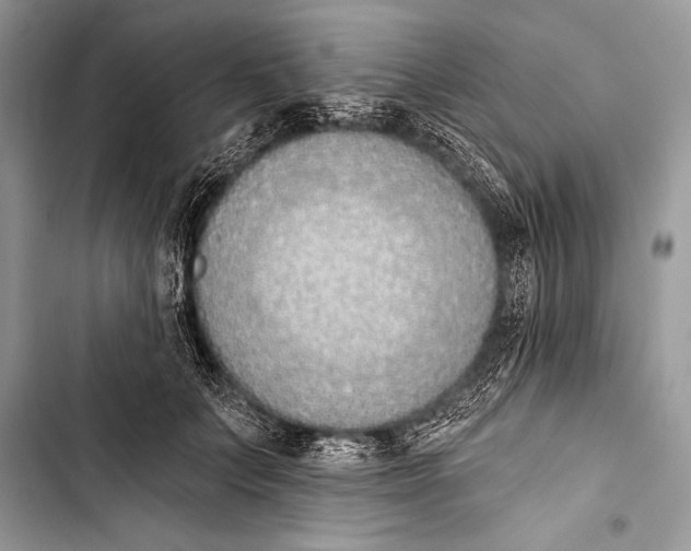 X0000103490703200810031606