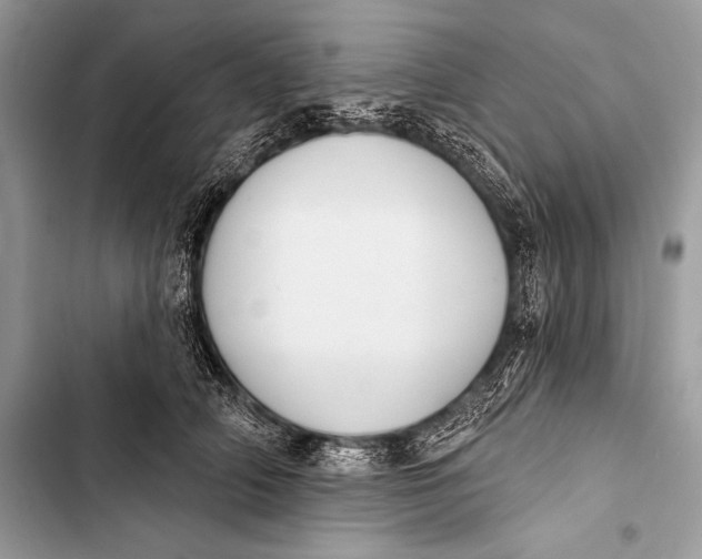 X0000103490706200810031606