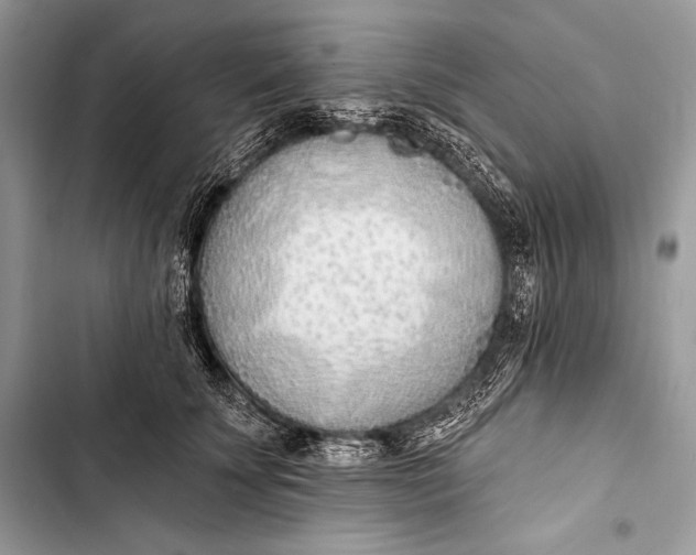 X0000103490707200810031606