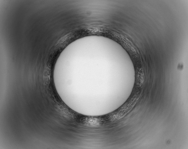 X0000103490710200810031606