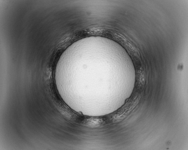 X0000103490711200810031606