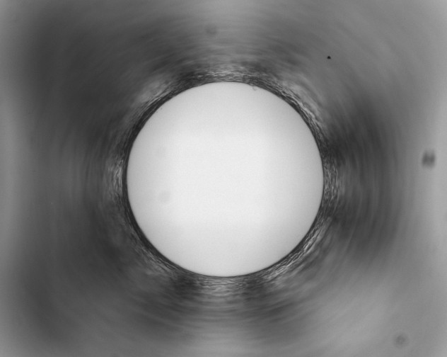 X0000103490717200810031606