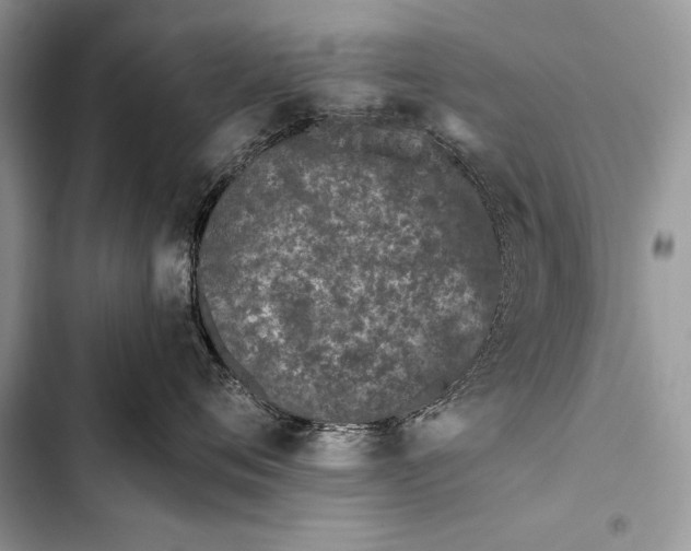 X0000103490720200810031605