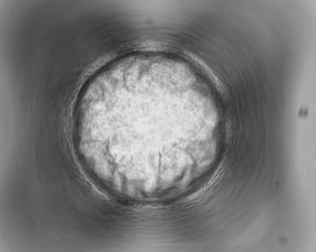 X0000103490721200810031605