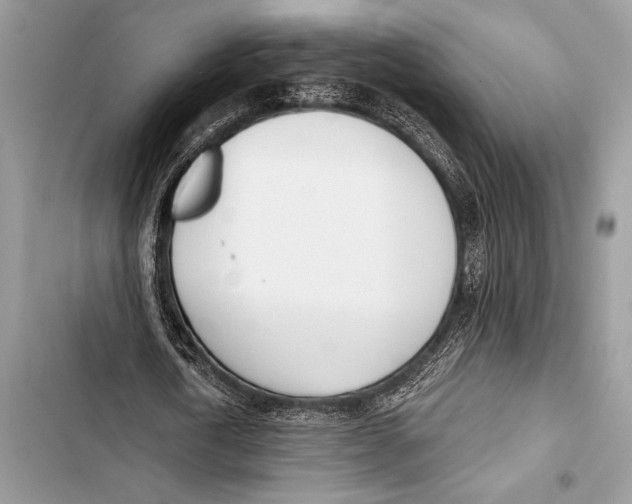 X0000103490722200810031605