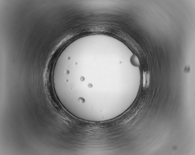 X0000103490723200810031605