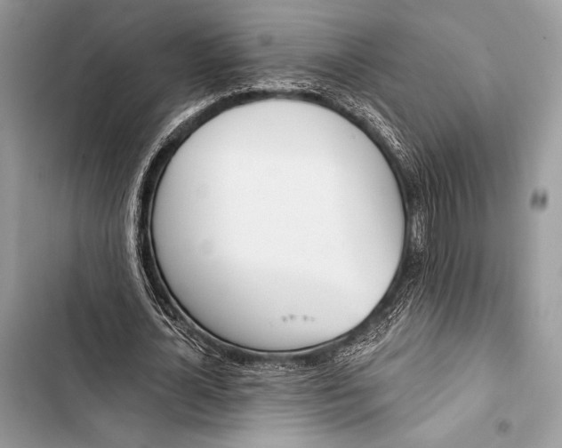 X0000103490724200810031605