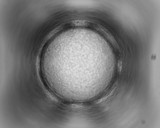 X0000103490725200810031605