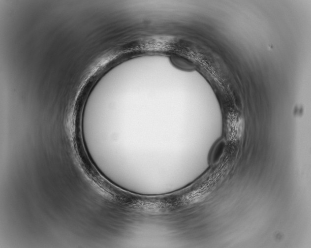 X0000103490726200810031605