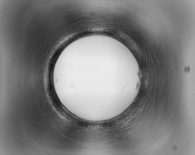 X0000103490728200810031605