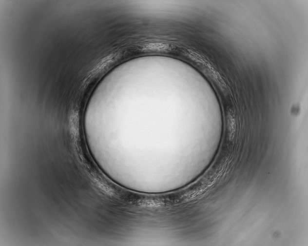 X0000103490729200810031605