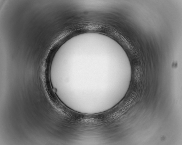 X0000103490730200810031605