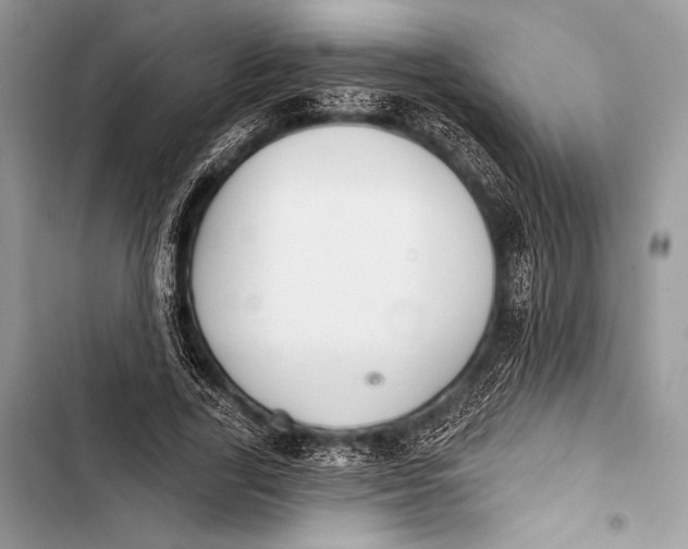 X0000103490731200810031605