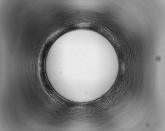 X0000103490732200810031605