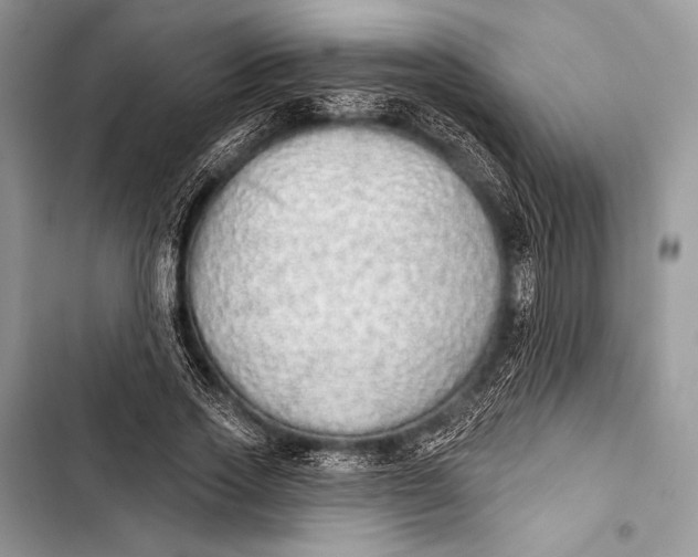 X0000103490733200810031605