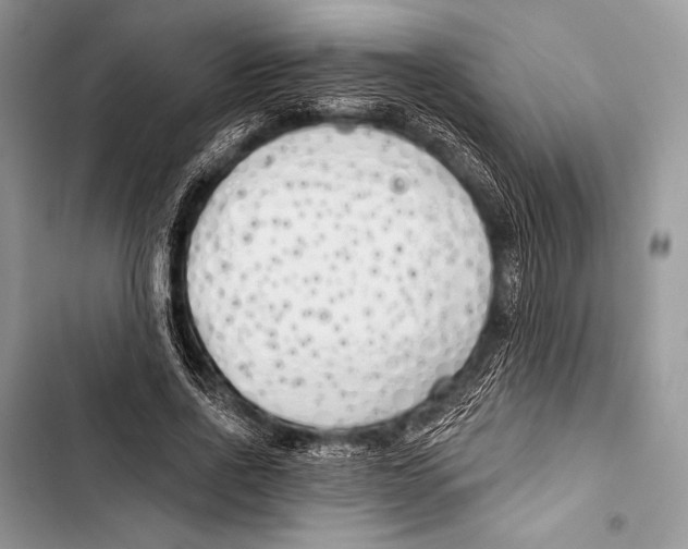 X0000103490734200810031605