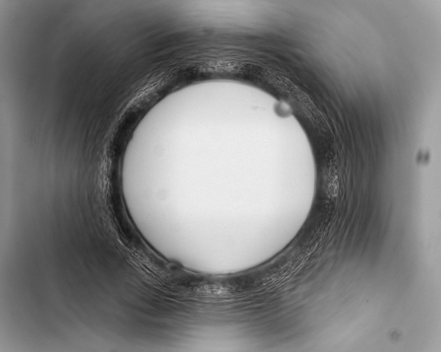 X0000103490735200810031605