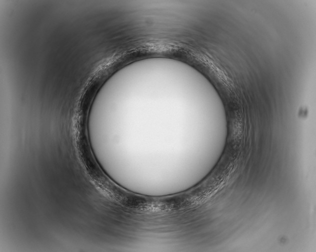 X0000103490736200810031605