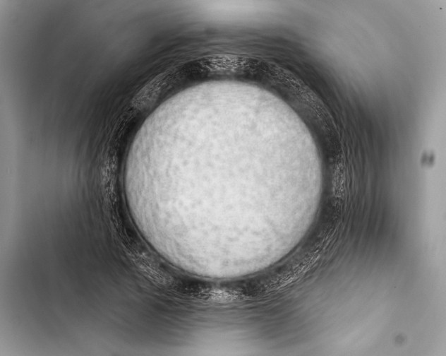 X0000103490737200810031605