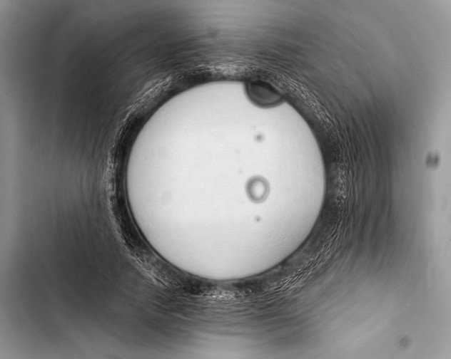 X0000103490738200810031605