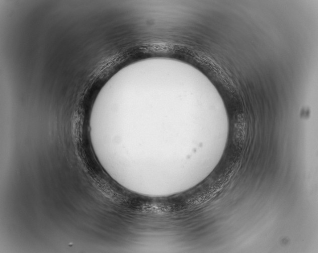 X0000103490739200810031605