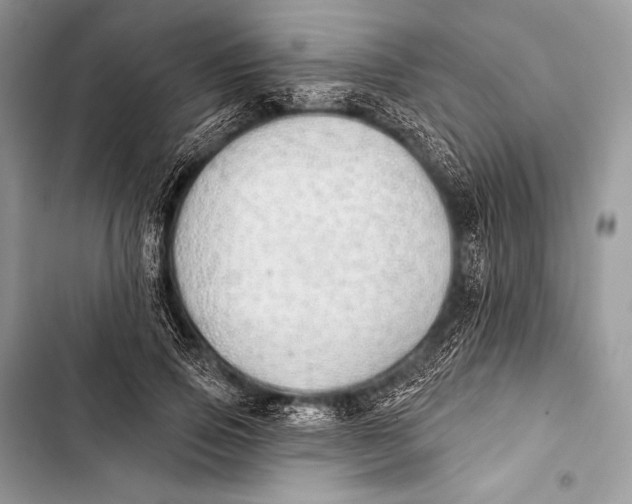 X0000103490741200810031605