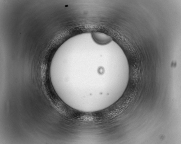 X0000103490742200810031605