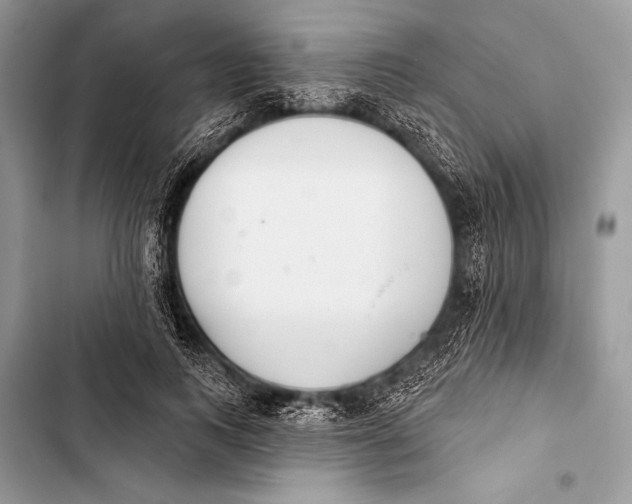 X0000103490743200810031605