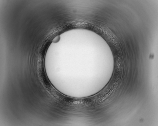 X0000103490744200810031605