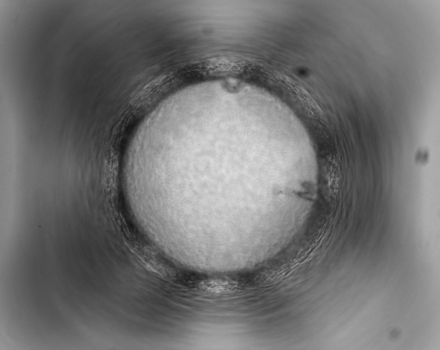 X0000103490745200810031605