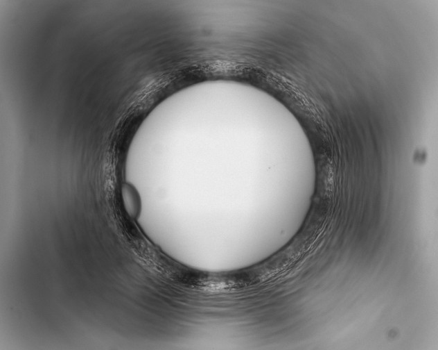 X0000103490746200810031605