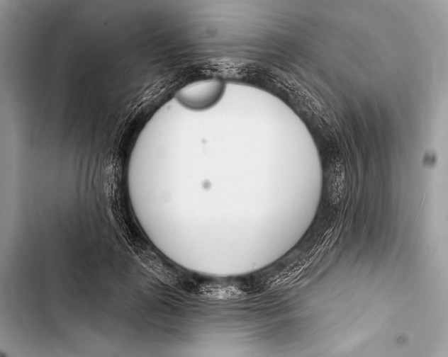 X0000103490747200810031605