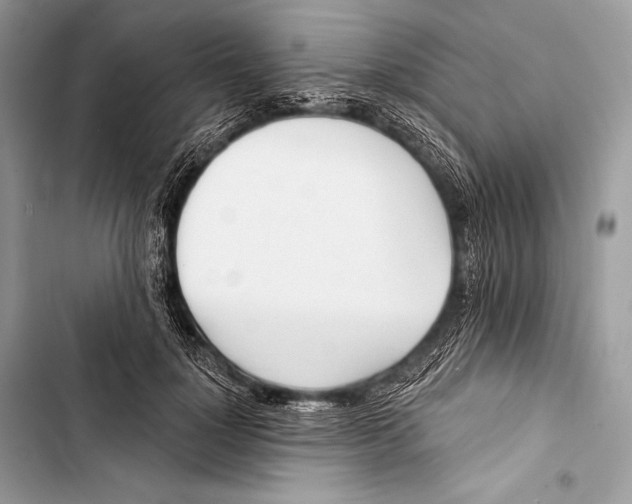 X0000103490748200810031605