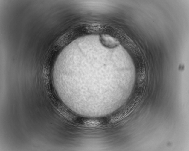 X0000103490749200810031605