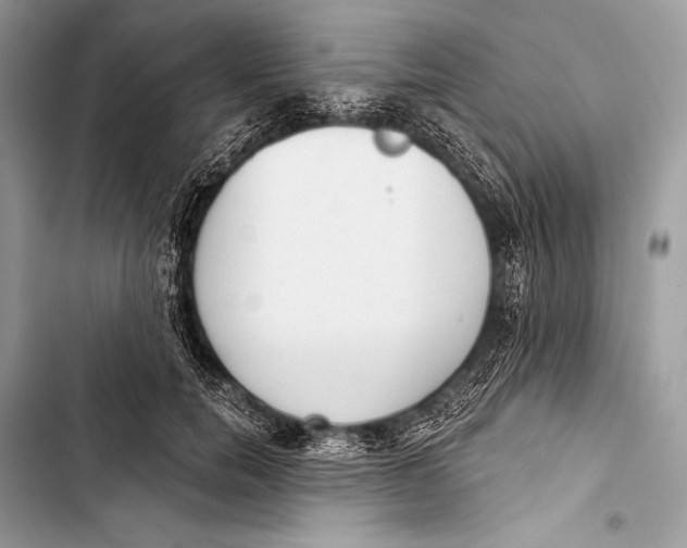 X0000103490750200810031605