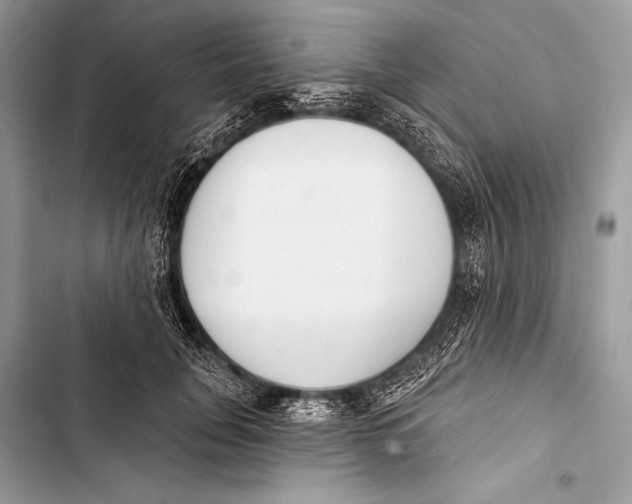 X0000103490751200810031605