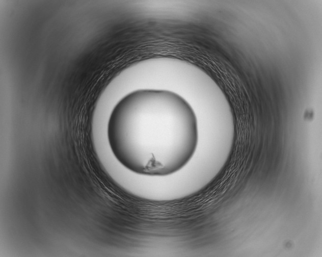 X0000103490752200810031605