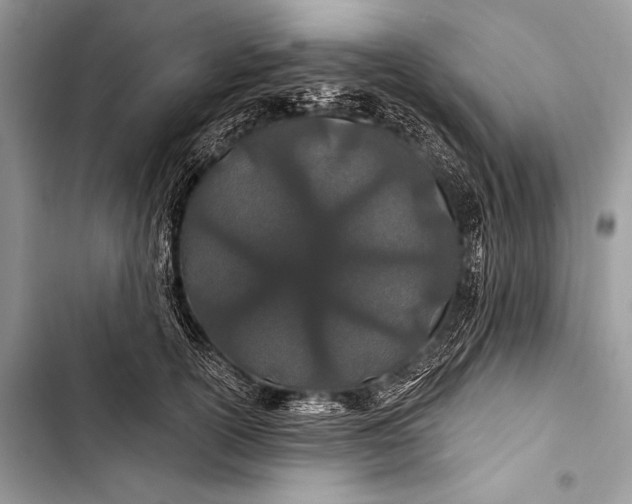 X0000103490754200810031605