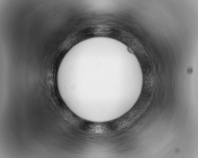 X0000103490755200810031605